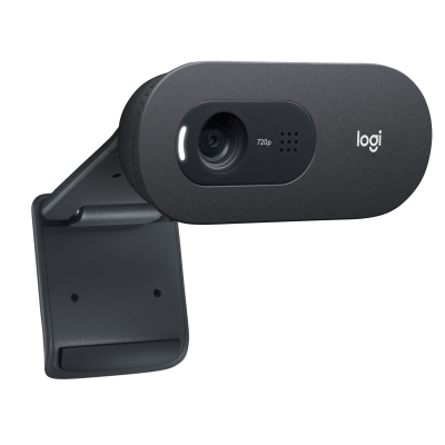 Logitech C505e cámara web 1280 x 720 Pixeles USB Negro