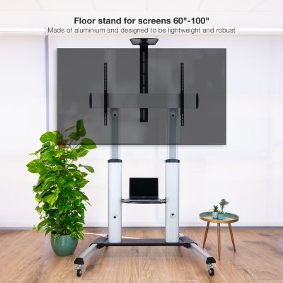 TooQ Partenón 2,54 m (100") Plata