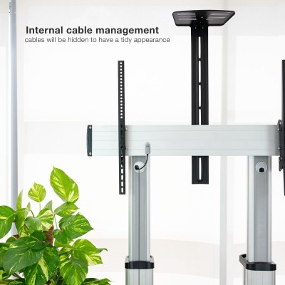 TooQ Partenón 2,54 m (100") Plata