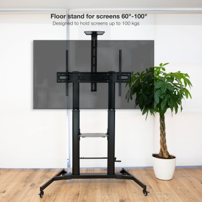 TooQ ZEUS 2,54 m (100") Negro