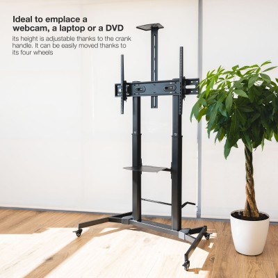 TooQ ZEUS 2,54 m (100") Negro