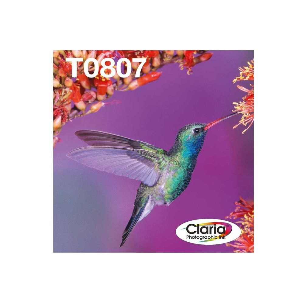 Epson Hummingbird Multipack T0807 6 colores