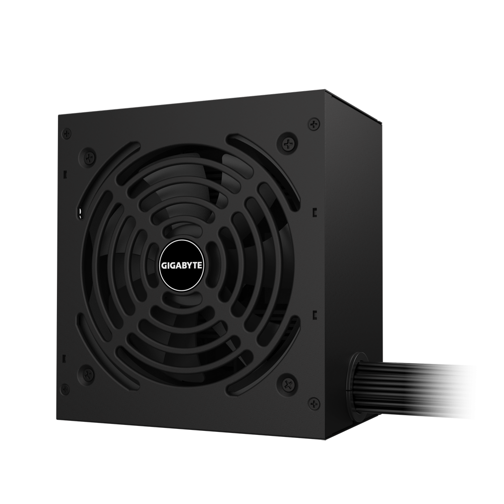 Gigabyte GP-P650G unidad de fuente de alimentación 650 W 20+4 pin ATX ATX Negro